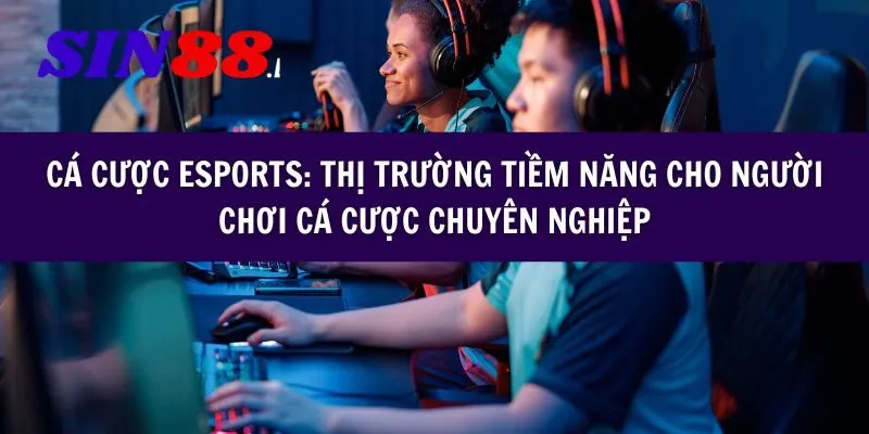 Cá cược Esports: Thị trường tiềm năng cho người chơi cá cược chuyên nghiệp